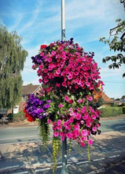 Hanging baskets